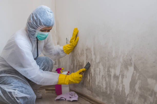 Best Residential Mold Removal  in Grantville, GA
