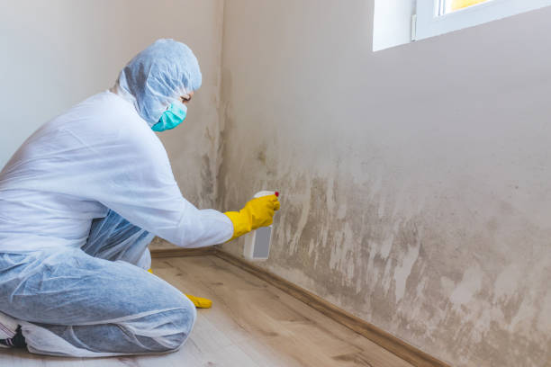 Best Toxic Mold Removal  in Grantville, GA
