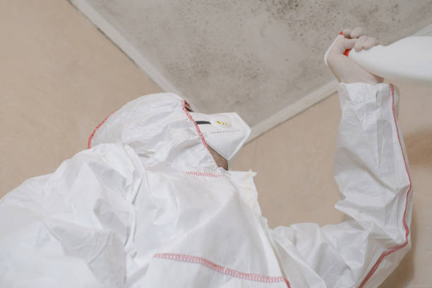 Attic Mold Removal in Grantville, GA