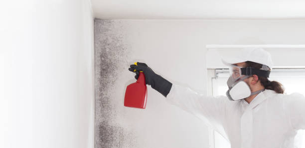 Best Professional Mold Removal  in Grantville, GA